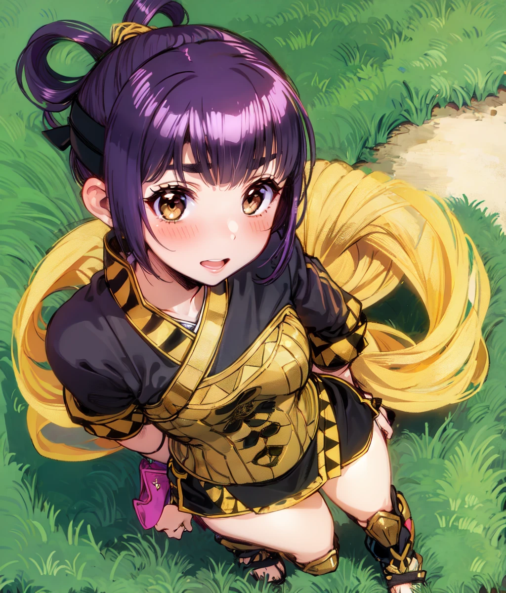 masterpiece, high res, detailed face, detailed eyes, 1girl, solo, short hair, top knot, black and gold outfit, purple hair, brown eyes, chinnese hairstyle, headband, blushing, full body, cocky, brazen, tomboy, standing, outdoors<lora:Miakis:0.9>