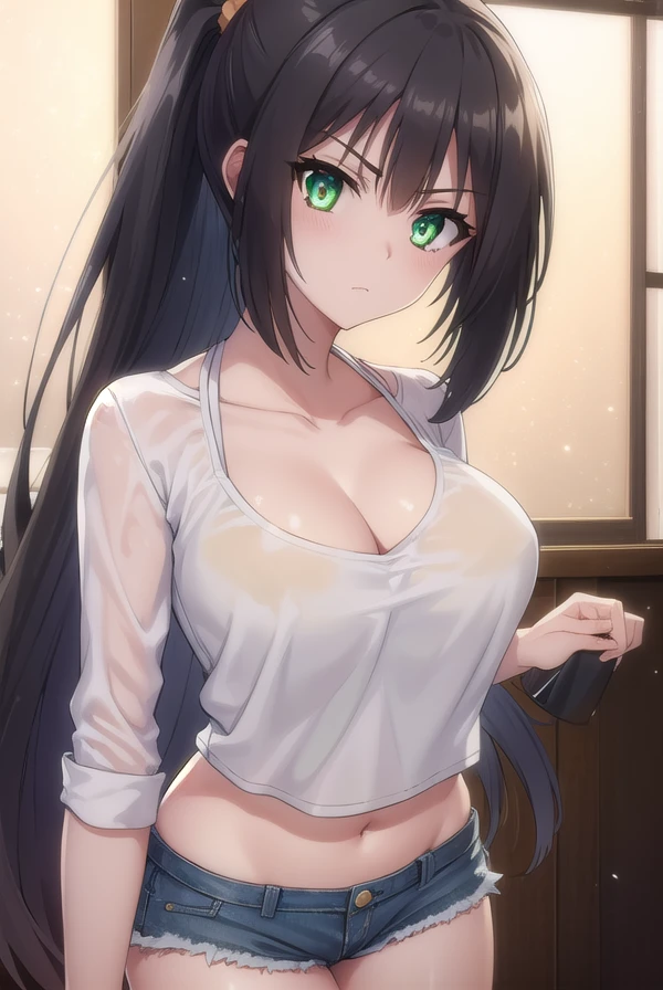 korewaseraphim, <lora:korewa seraphim s2-lora-nochekaiser:1>,
seraphim, long hair, black hair, very long hair, (green eyes:1.3), ponytail, scrunchie, orange scrunchie, angry, frown,
BREAK navel, cleavage, midriff, camisole, shorts, denim,
BREAK indoors,
BREAK looking at viewer, (cowboy shot:1.5),
BREAK <lyco:GoodHands-beta2:1>, (masterpiece:1.2), best quality, high resolution, unity 8k wallpaper, (illustration:0.8), (beautiful detailed eyes:1.6), extremely detailed face, perfect lighting, extremely detailed CG, (perfect hands, perfect anatomy),