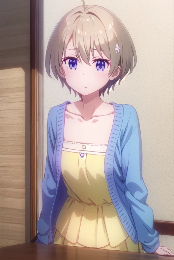 hotaruhoshikawa, <lora:hotaru hoshikawa s2-lora-nochekaiser:1>, 
hotaru hoshikawa, short hair, brown hair, hair ornament, hair between eyes, (purple eyes:1.1), flower, hair flower,
BREAK collarbone, cardigan, dress, yellow dress,
BREAK indoors, office,
BREAK looking at viewer, (cowboy shot:1.5),
BREAK <lyco:GoodHands-beta2:1>, (masterpiece:1.2), best quality, high resolution, unity 8k wallpaper, (illustration:0.8), (beautiful detailed eyes:1.6), extremely detailed face, perfect lighting, extremely detailed CG, (perfect hands, perfect anatomy),
