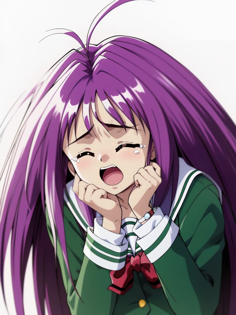 <lora:Kotobuki_Miyuki:0.8>,  KotobukiMiyuki, 1girl, solo, school uniform, closed eyes, long sleeves, open mouth, tears, very long hair, parody, clenched hands,
masterpiece, high quality, very_high_resolution, large_filesize, full color,