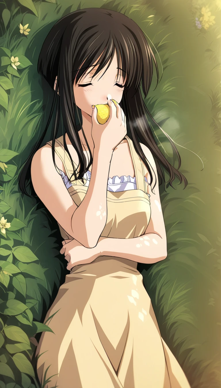 1girl,minami tsubame,yellow dress, 1girl, solo, masterpiece, best quality, game cg, food, fruit, holding fruit, closed eyes, holding food, holding, grass,leaf, lemon <lora:MinamiTsubameXL:1>