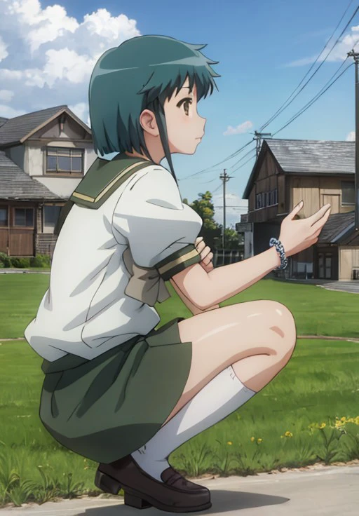 <lora:ShakugannoShana:1.0>, ShakugannoShana, Fumina, solo, skirt, black hair, bow, brown eyes, jewelry, school uniform, full body, short sleeves, outdoors, sky, shoes, serafuku, day, socks, puffy sleeves, cloud, bowtie, bracelet, kneehighs, profile, bird, animal, squatting, cat, grass, white socks, green skirt, building, house, power lines, crow