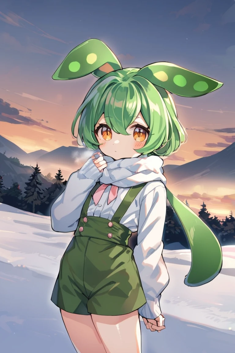 1girl, suspenders, cold, dusk, cowboy shot, from very high, zundalora, <lora:zundalora_charaLoRA_XL_AMG:0.7:lbw=1,0,1,0,1,1,0.8,1,0,0,0,0>