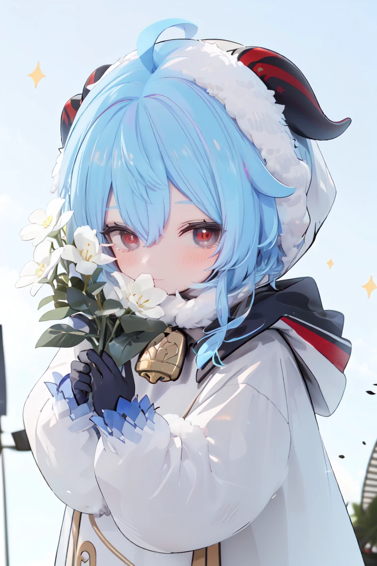 <lora:ganyuyoungan-0020:0.8>,ganyuyoungan,best quality,masterpiece,1girl, ganyu (genshin impact), closed eyes, horns, solo, blue hair, blush, gloves, holding flower, ahoge, holding, fur trim, hood, flower, bangs, black gloves, long hair, (Windmill toys:1.4), hood up, upper body, white flower, hair between eyes, closed mouth, simple background, long sleeves, coat, fur-trimmed hood, fur-trimmed coat, sparkle,<lora:g,W0pN9ObK2:0.5> <lora:hans-O3:0.5>,