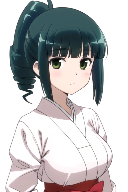 solo, 1girl, looking at viewer, 2D, anime, anime coloring, upper body, (solid white background:1.3), <lora:haru-saki:0.7>, haru takimi, japanese clothes, looking at viewer, closed mouth