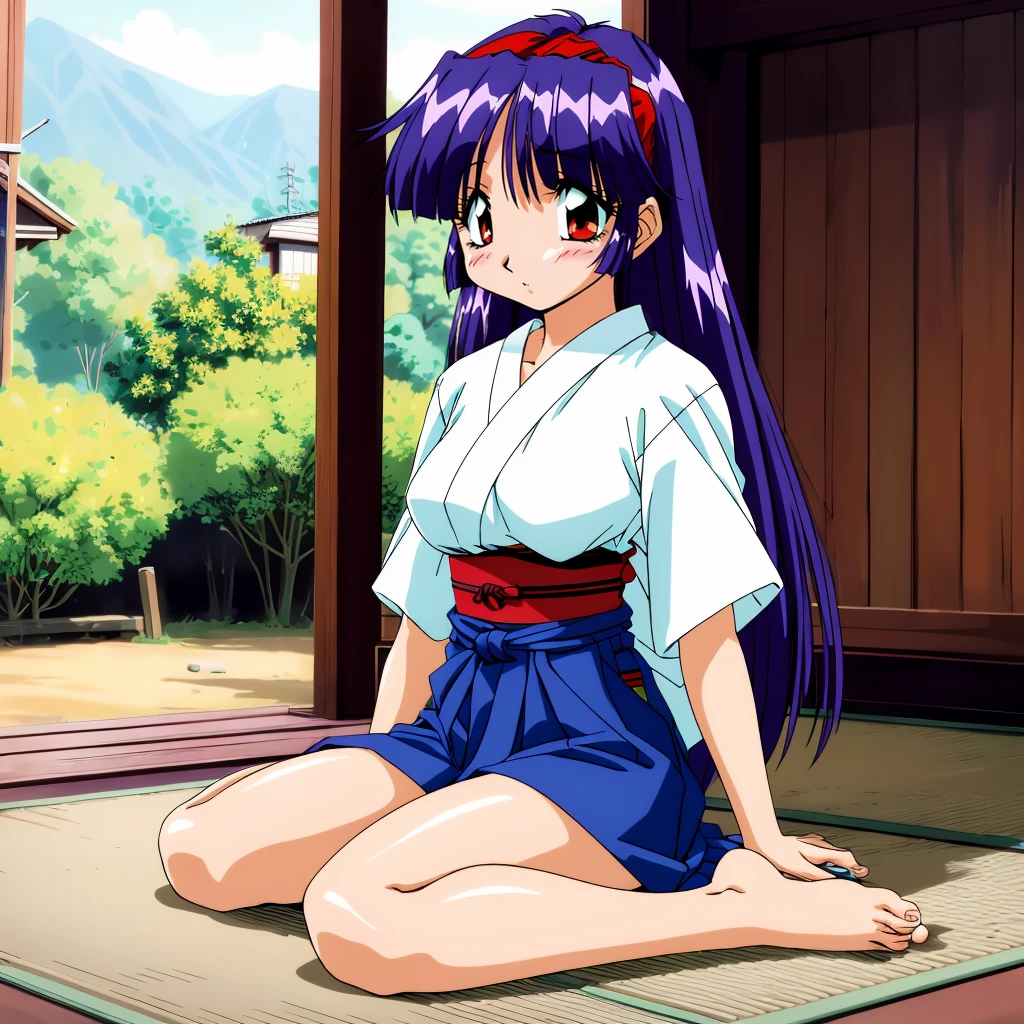 <lora:YumikoShiraishi001:0.7>,
YumikoShiraishi,1girl,purple hair,long hair,red eyes,
solo,
hairband,
japanese clothes,
hakama,
full body,sitting,barefoot,wariza,