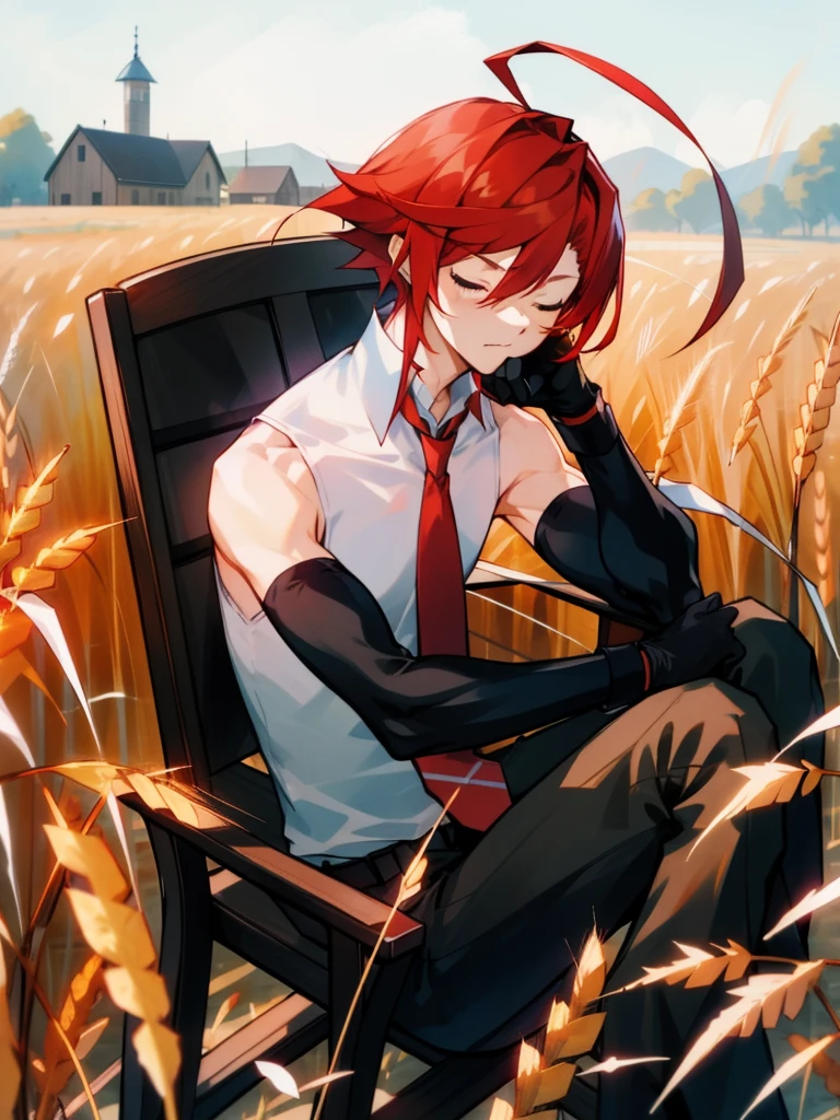 <lora:disgaea2-12:1>1boy, adell, red hair, ahoge, closed eyes, scar, white shirt, sleeveless shirt, red necktie, black pants, elbow gloves, outdoors, sitting, chair, farm, wheat, village, masterpiece, best quality