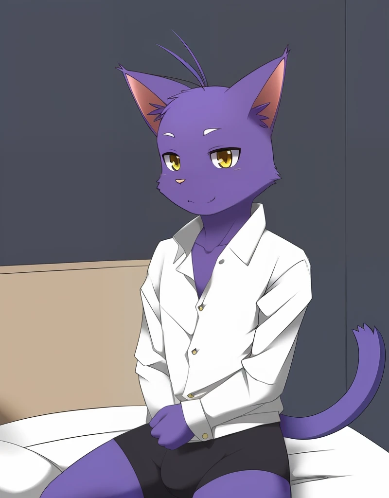 (((detailed eyes, detailed face))), (furry, shin <lora:character_shin_findigo_v1:0.9>, purple skin, purple hair, antenna hair, cat, yellow eyes), male, (solo), (plump), (white shirt, black boxer briefs, black male underwear), sitting, (arms behind back), smile BREAK (konzaburou, ukan_muri, cute), bedroom, (flat shading, flat color, high brightness), 8k, UHD, masterpiece, (full body)