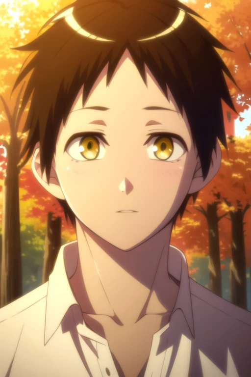 photorealistic, (4k), depth of field, (Masterpiece), (realistic skin texture), extremely detailed, intricate, hyper detailed, high resolution, professional photography, , depth of field, sharp detail, best quality, looking at viewer, 1boy, solo, male focus, <lora:asahi_kuromine:0.84>, asahi_kuromine, brown hair, yellow eyes, short hair, , autumn, HDR