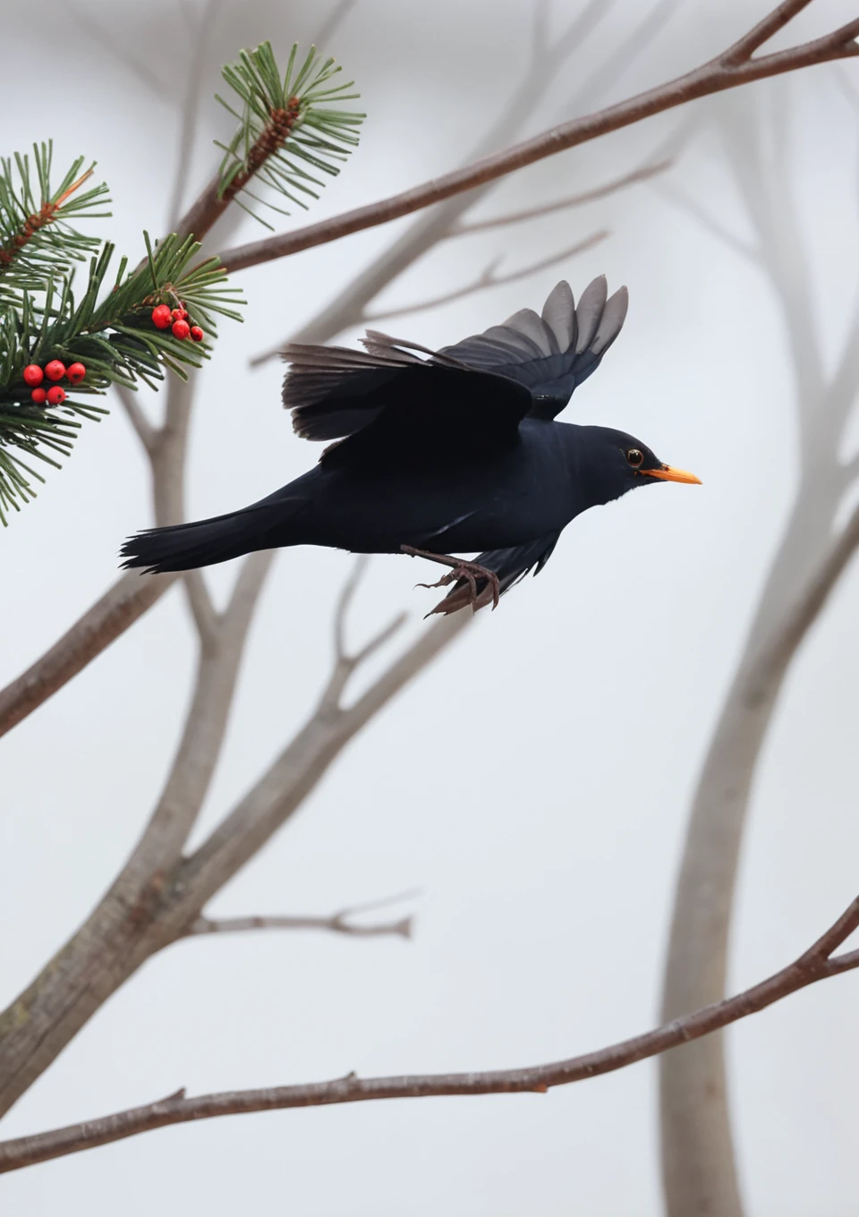<lora:eurasian blackbird SDXL-000002:1>
eurasian blackbird,turdus merula,best quality, high quality, highres, masterpiece,bird, city,park, christmas tree, flying, solo, christmas, christmas ornaments, christmas present, christma