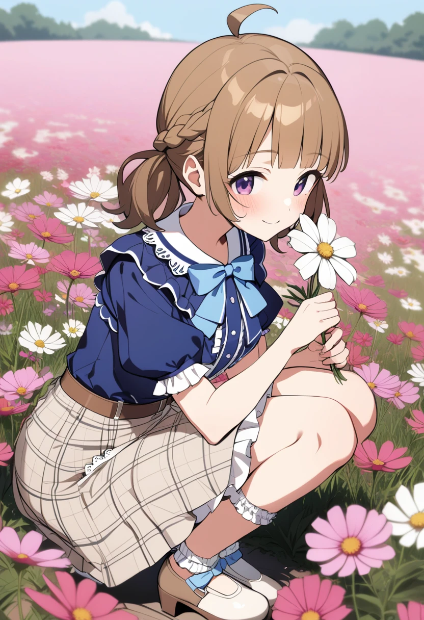 1girl,suou momoko, priv-dress, casual, braid, white legwear, short hair, blunt bangs, french braid, twintails, ahoge, blue bow, puffy short sleeves, frilled shirt, blue shirt, purple eyes, blush, blouse, bobby socks, frilled sleeves, blue eyes, brown skirt, white skirt, full body, plaid skirt, low twintails, high heels, brown belt, smile, short sleeves, closed mouth, short twintails, between legs, loafers, socks, holding flower, belt, white flower, cosmos \(flower\), brown footwear, puffy sleeves, frills, eyebrows visible through hair, looking at viewer, light brown hair, squatting, blue blouse, brown hair, frilled legwear, frilled shirt collar, shorts, holding, medium hair, bowtie, light blush, shirt tucked in, blue neckwear, shoes, skirt bow, frilled skirt, center frills, flower field, masterpiece, best quality <lora:suou_momoko_sdxl_locon_v1_1:0.7>