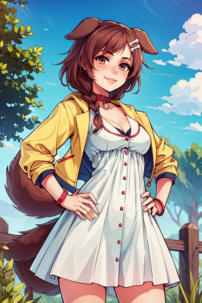 ((masterpiece,best quality)), ik1, 1girl, white dress, yellow jacket, dog tail, animal collar, cleavage, medium breasts, wristband, cartoon bone, hairclip, <lora:inugami_korone_v1:0.7>, cowboy shot, standing, outdoors, smile, hand on hip,