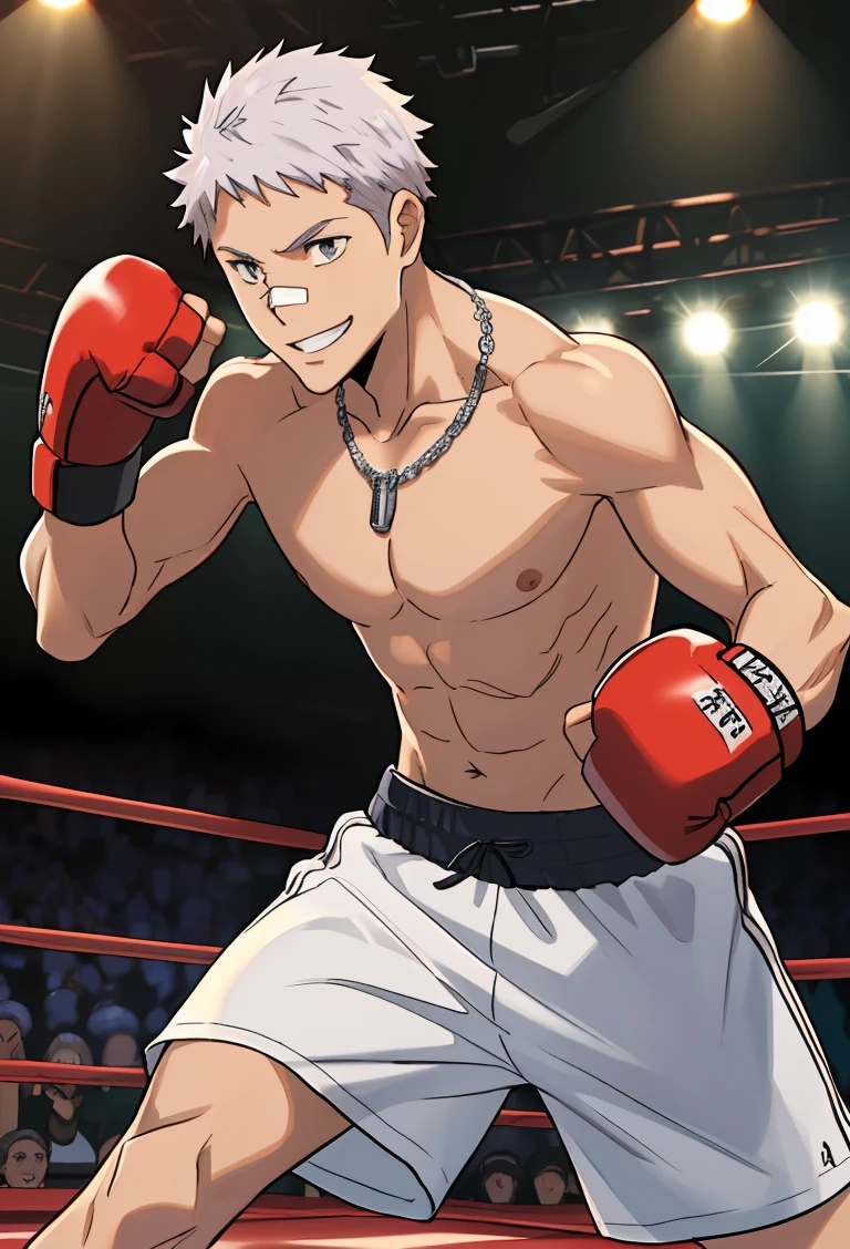 (((best quality, high resolution, masterpiece, very detailed))), <lyco:husbandoLocon_v4:0.3>, anime screencap, 1boy, solo focus, male focus, short hair, depth of field, <lora:Character - KHR - Ryohei Sasagawa:0.7> ryoheisasagawa, white hair, grey eyes, band aid, boxing ring, fingerless gloves, dynamic pose, fighting pose, necklace, smile, topless,