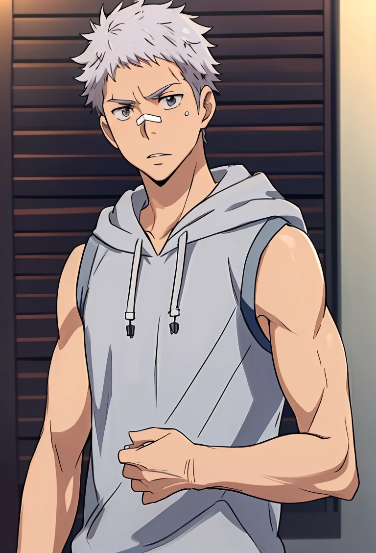 (((best quality, high resolution, masterpiece, very detailed))), <lyco:husbandoLocon_v4:0.3>, anime screencap, 1boy, solo focus, male focus, short hair, depth of field, <lora:Character - KHR - Ryohei Sasagawa:0.7> ryoheisasagawa, white hair, grey eyes, band aid, standing up, gym, sleeveless, hoodie,