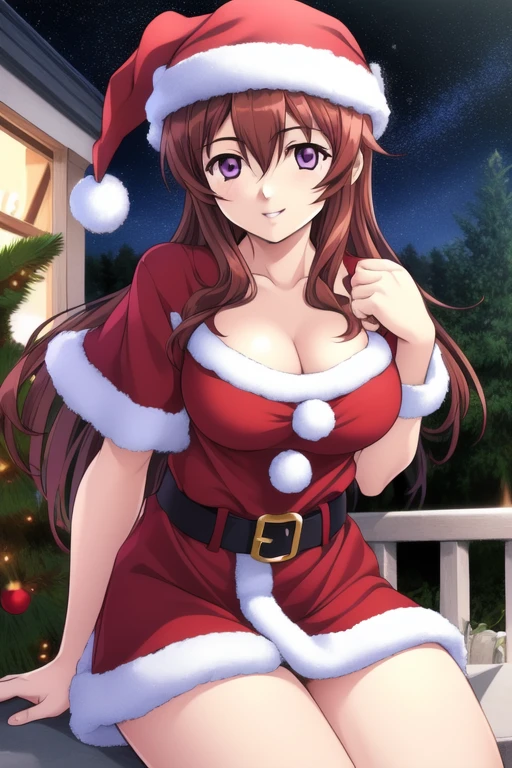 <lora:Midou_Yuuki:0.8>, MidouYuuki, 1girl, soro, purple_eyes, brown_hair, long_hair, large breasts, happy, smile,
Christmas, SantaClaus, hat, night, starry sky, sitting,
masterpiece, high quality, very_high_resolution, large_filesize, full color,
