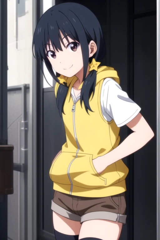 ((masterpiece)),(best quality),official art,extremely detailed CG,unity 8k wallpaper,ultra detailed,beautiful detailed eyes,extremely detailed face,1girl,solo,cowboy shot,looking at viewer,facing viewer,(petite:1.2),smile,long_hair,black_hair,low_twintails,star_hair_ornament,sidelocks,bangs,brown_eyes,yellow_hoodie,hood_down,vest,small breasts,short_sleeves,brown_shorts,black_thighhighs,sneakers,<lora:Akutsu Ruri(ag)>,