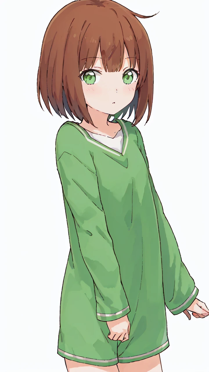 masterpiece, best quality, 8k, "visual novel"
<lora:add_detail:-0.4>
<lora:Kindred_Spirits_on_the_Roof.v2-000005:0.85> kd_vnstyle
1girl, (solo)
(" ")
red brown hair,
green eyes
bob cut hair
(pajamas:1.1)
" "
" "