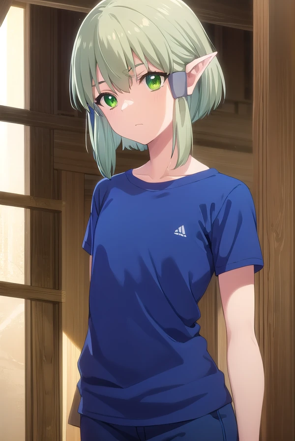 banishedal, <lora:banished al s1-lora-nochekaiser:1>,
banished al, short hair, (green eyes:1.3), sidelocks, green hair, pointy ears, hair tubes, elf,
BREAK shirt, short sleeves, pants, blue shirt, green pants,
BREAK outdoors,
BREAK looking at viewer, (cowboy shot:1.5),
BREAK <lyco:GoodHands-beta2:1>, (masterpiece:1.2), best quality, high resolution, unity 8k wallpaper, (illustration:0.8), (beautiful detailed eyes:1.6), extremely detailed face, perfect lighting, extremely detailed CG, (perfect hands, perfect anatomy),