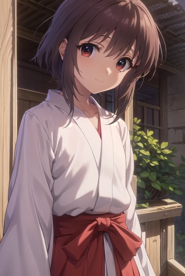 kaorukosumirekoichijou, <lora:kaoruko sumireko ichijou s1-lora-nochekaiser:1>,
kaoruko sumireko ichijou, brown hair, (brown eyes:1.5), smile,
BREAK skirt, long sleeves, japanese clothes, hakama, hakama skirt, miko, red hakama,
BREAK outdoors, shrine,
BREAK looking at viewer, (cowboy shot:1.5)
BREAK <lyco:GoodHands-beta2:1>, (masterpiece:1.2), best quality, high resolution, unity 8k wallpaper, (illustration:0.8), (beautiful detailed eyes:1.6), extremely detailed face, perfect lighting, extremely detailed CG, (perfect hands, perfect anatomy),