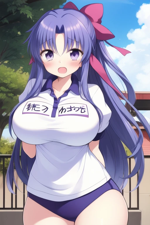 <lora:Yukino:0.8>, Yukino, 1girl, soro, long_hair, purple_eyes, purple_hair, blue_hair, hair_ribbon, hair_bow, blush, huge_breasts
buruma, blush, gym uniform, open mouth, name tag, outdoor, sky,
masterpiece, high quality, very_high_resolution, large_filesize, full color,