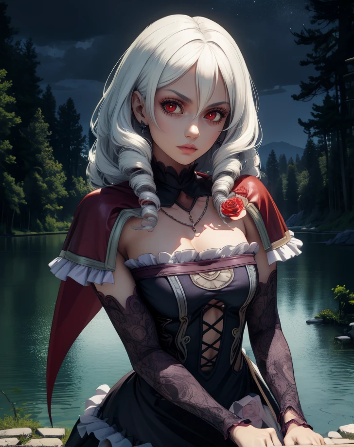 viola,red eyes,white hair,twin drills,
cape,rose,detached sleeves,dress,jewelry,necklace,frills,
standing,looking at viewer,expressionless,
forest,night,lake, stars,
(insanely detailed, beautiful detailed face, masterpiece, best quality),solo,<lora:viola-11SCVv9:0.8>,
