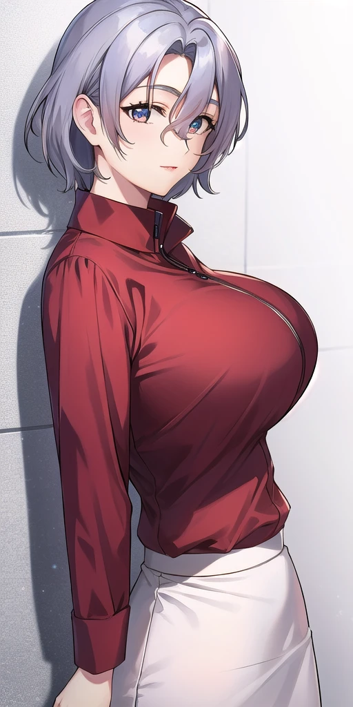 <lora:SallySaintFordV2:0.7> sallysaintford, huge_breasts, standing, solo, Red_shirt_Long_sleeves_Zipper_White_pencil_skirt_miniskirt, masterpiece, best_quality, detailed_face, detailed_eyes, highres, beautiful, detailed,