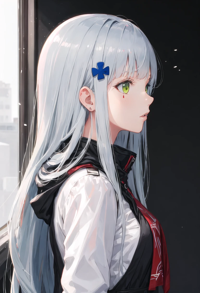 416/416/HK416 (Girls' Frontline)