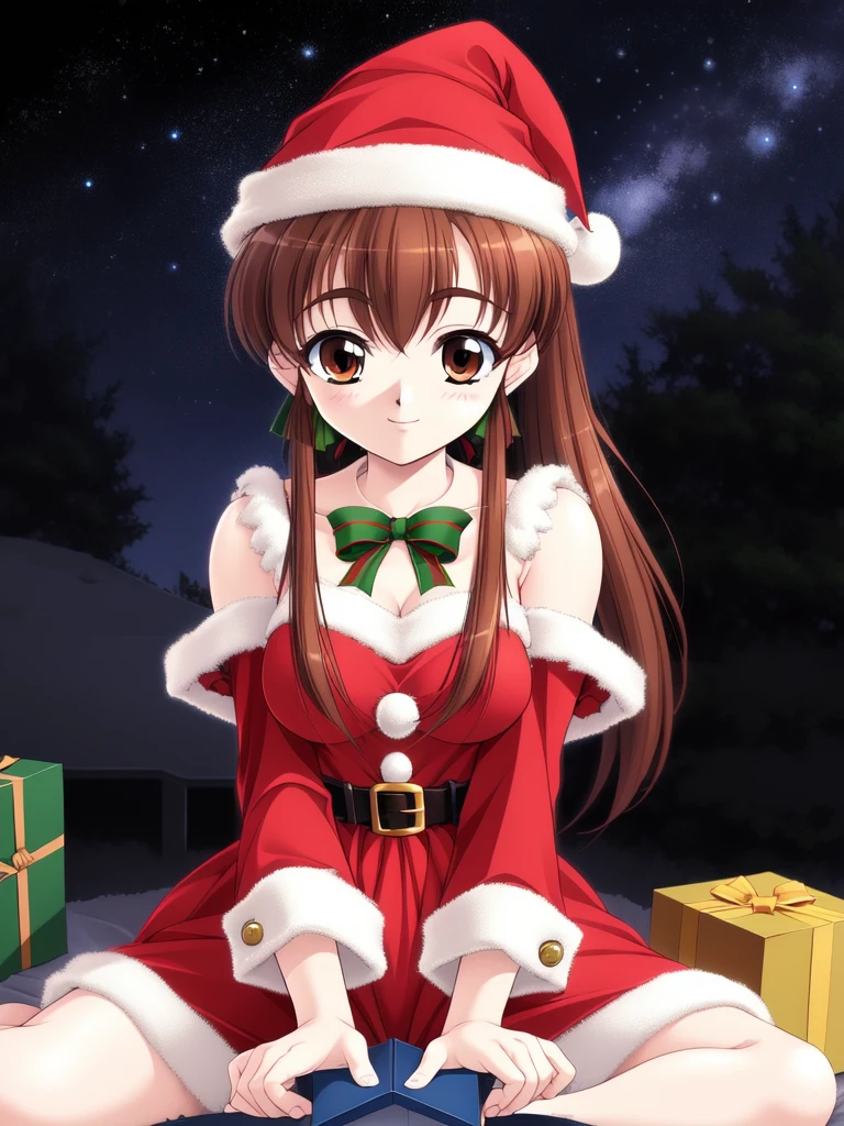 <lora:Shimagi_Kana:0.8>, brown_hair, ponytail, brown_eyes, hair_ribbon, high_ponytail, long_hair, medium_breasts, smile,
Christmas, SantaClaus, hat, night, starry sky, sitting,
masterpiece, high quality, very_high_resolution, large_filesize, full color,
