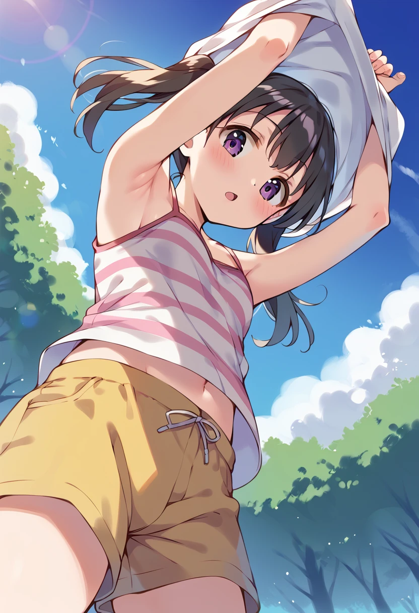 score_9, score_8_up, score_7_up, best quality, masterpiece, source_anime BREAK
1girl, kuraue hinata, solo, black hair, purple eyes, armpits, undressing, twintails, short hair, arms up, open mouth, blush, camisole, looking at viewer, from below, brown shorts, tank top, striped shirt, standing, short shorts, yellow shorts, looking down, cowboy shot, white shirt, :o, collarbone, striped camisole, spaghetti strap, shirt lift, bare shoulders, eyebrows visible through hair, navel, small breasts, sleeveless shirt, outdoors, day, blue sky, sunlight <lora:kuraue_hinata_sdxl_locon_pony_v1:0.7>