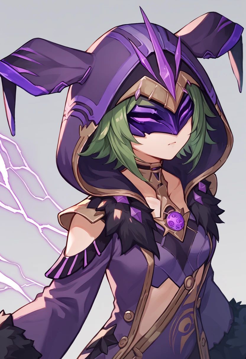 score_9, score_8_up, score_7_up, score_6_up, source_anime BREAK 1girl, solo, <lora:electrocicin-gi-richy-v1_pdxl:1> electrocicin, green hair, short hair, mask, hood, hooded cloak, purple leotard, fur trim, long sleeves, purple gloves