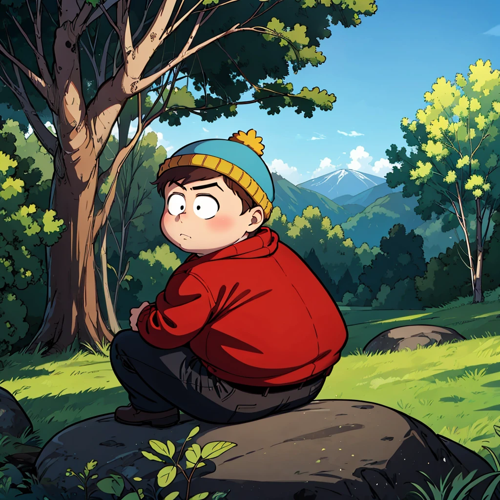 1boy, solo,   Eric Cartman,  short hair,  brown hair, 1boy, hat,  black eyes, blue beanie, fat, child, red hoodie, closed jacket,   <lora:Eric_Cartman_Leaf2-any:0.8>, cowboy shot, sitting, sitting_on_rock, forest,