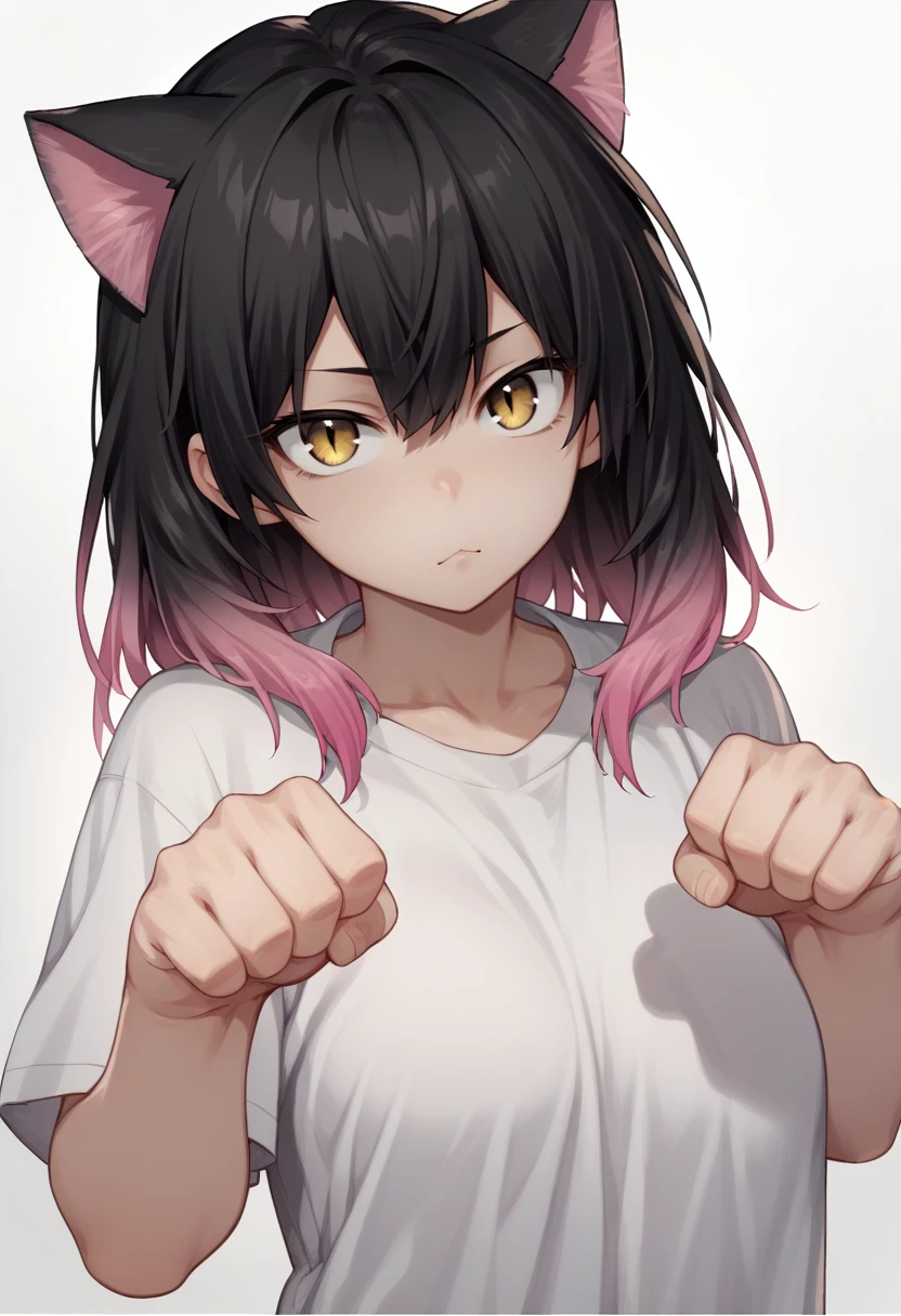 score_9, score_8_up, score_7_up, score_6_up, source_anime BREAK 1girl, solo, <lora:try-artist-richy-v1_pdxl:1> cat girl, cat ears, paw pose, gradient, gradient hair, gradient hair, rainbow gradient, rainbow, rainbow hair, white shirt, white background, looking at viewer, yellow eyes, brown eyes, gradient eyes, pink hair, black hair