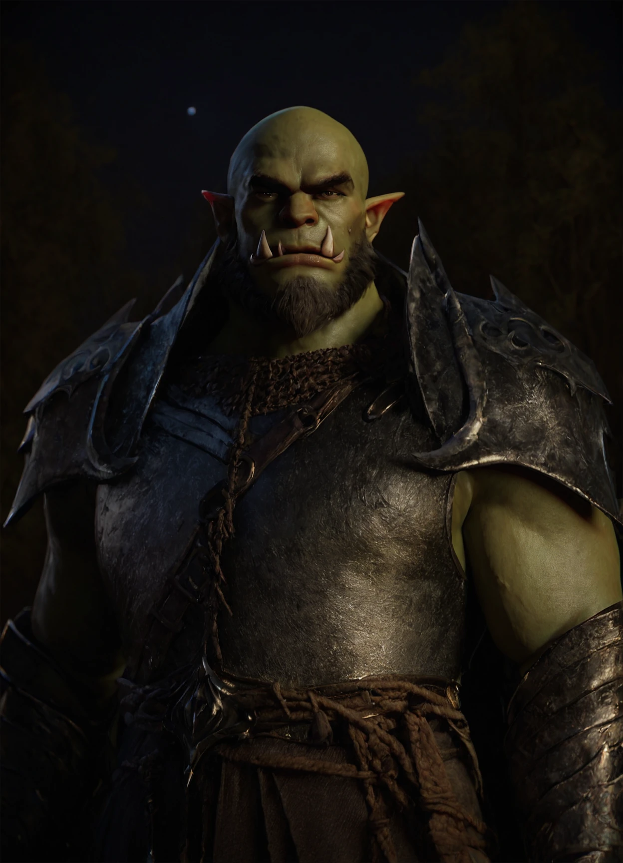 score_9, score_8_up, score_7_up, realistic, 3d, solo, male focus, mature male, orc, green skin, tusks, beard, outdoors, armor, looking at viewer, shoulder armor, breastplate, upper body, closed mouth, pauldrons, night, night sky, standing <lora:RetouchXL_PonyV6_v1:.65>