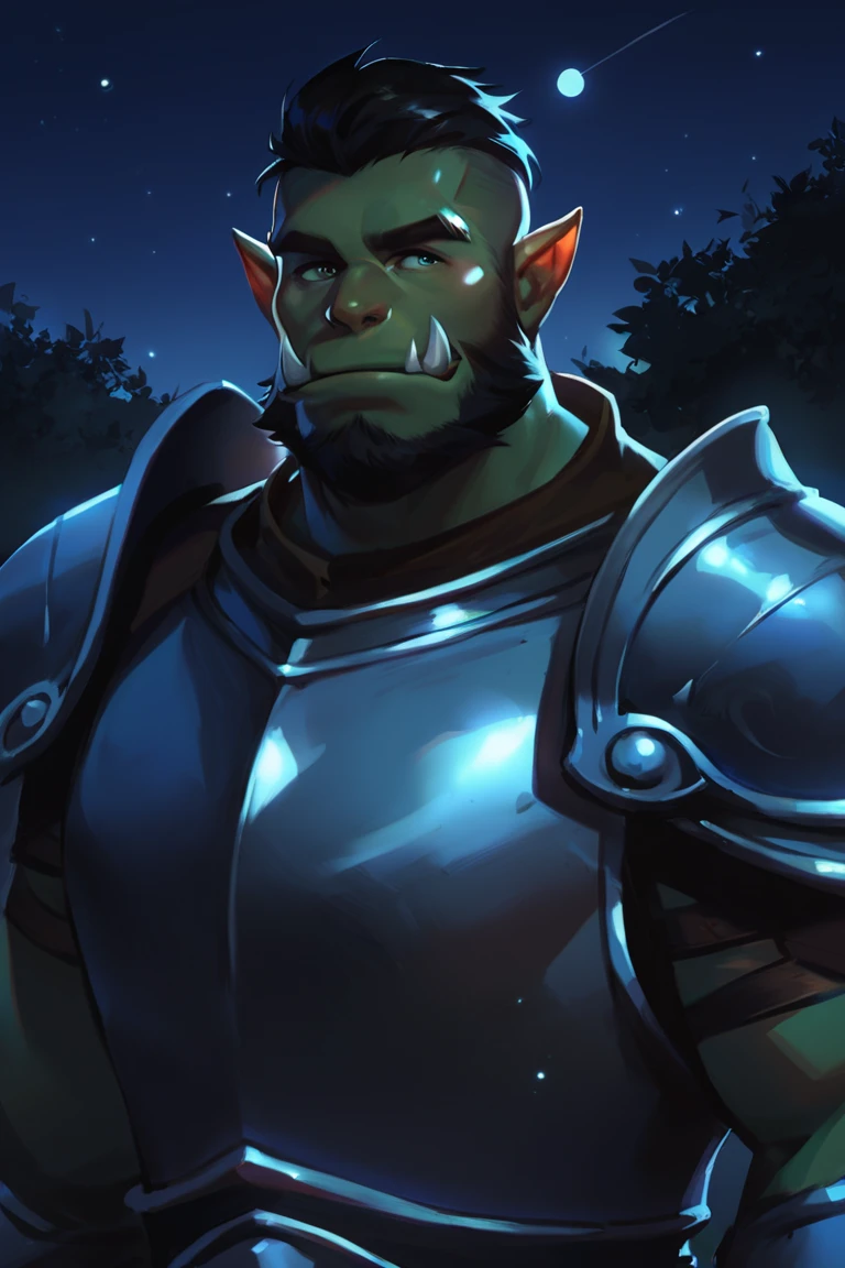 score_9, score_8_up, score_7_up, solo, male focus, mature male, orc, green skin, tusks, beard, outdoors, armor, looking at viewer, shoulder armor, breastplate, upper body, closed mouth, pauldrons, night, night sky, standing <lora:Smooth Anime Night Style SDXL_LoRA_Pony Diffusion V6 XL:1>