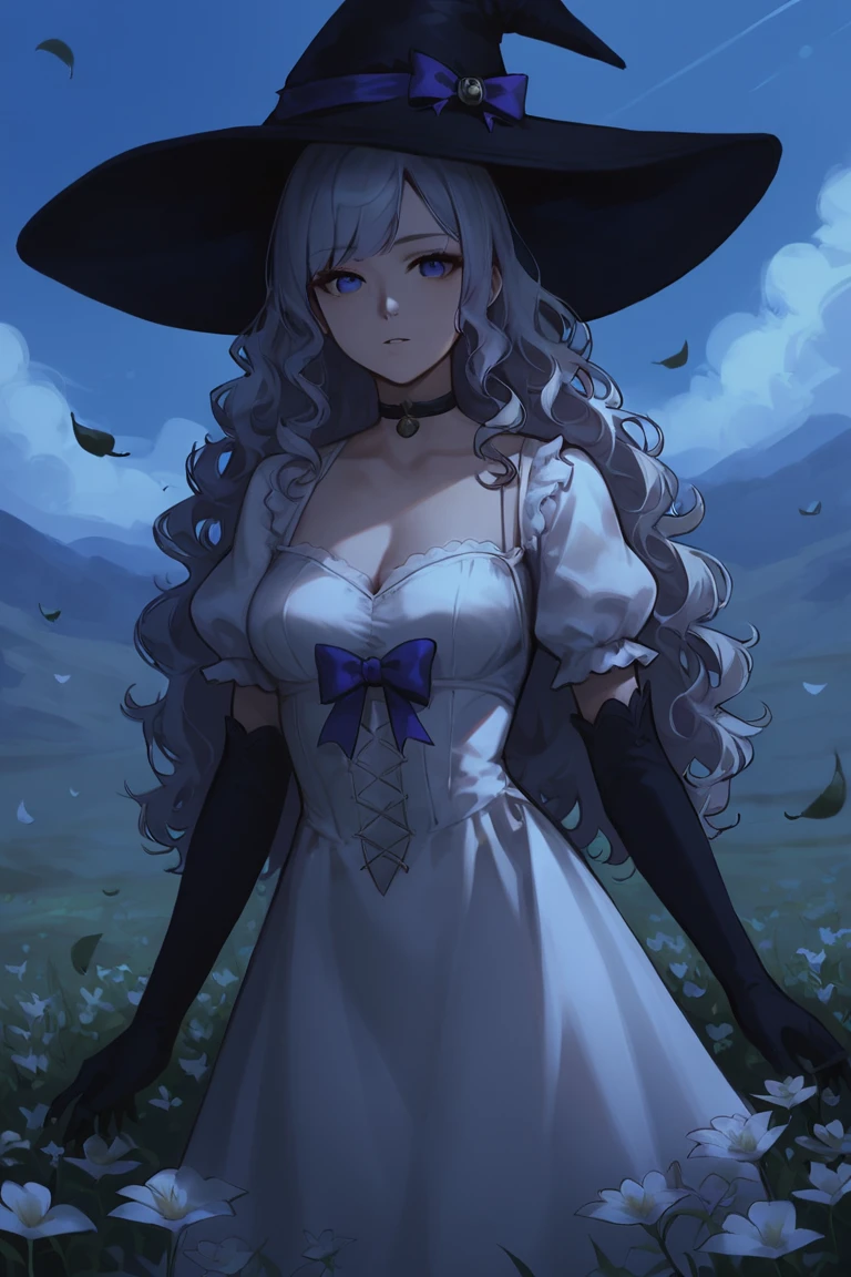 score_9, score_8_up, score_7_up, 1girl, witch hat, hat, solo, long hair, flower, dress, choker, puffy sleeves, looking at viewer, grass, white dress, bow, hat bow, white hair, black choker, plant, outdoors, blue eyes, purple eyes, black headwear, bangs, long sleeves, gloves, witch, blue bow, wavy hair, short sleeves, puffy short sleeves, elbow gloves, black gloves, standing, field, grey hair, sky, purple bow, breasts, curly hair, parted lips, expressionless, cowboy shot, closed mouth, leaf <lora:Smooth Style 2 SDXL_LoRA_Pony Diffusion V6 XL:1>