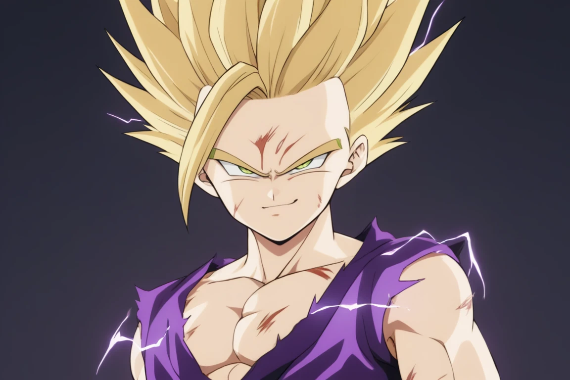 1boy,solo,gohan,super saiyan 2,purple_dougi,blonde_hair,spiked_hair,yellow aura,electricity,smirk,injuries,scars,(masterpiece,best quality:1.3),portrait,pectorals<lora:EMS-317132-EMS:0.800000>, <lora:EMS-289246-EMS:0.800000>