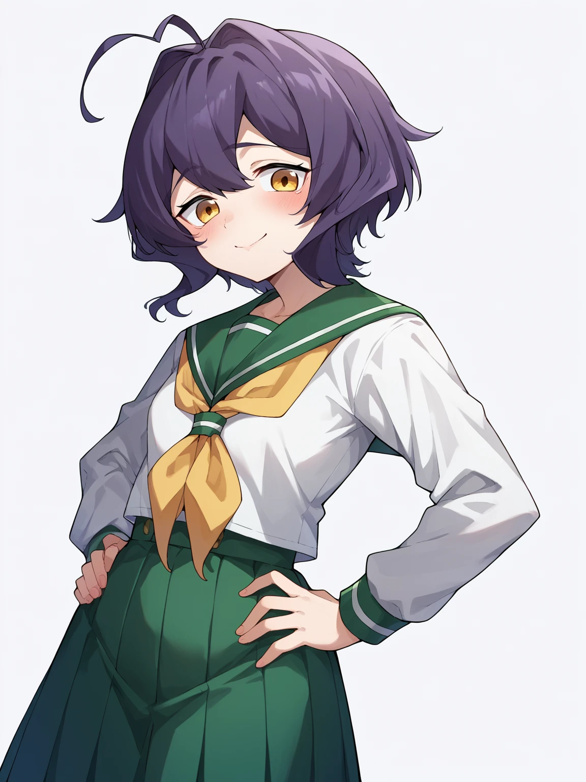 score_9, score_8_up, score_7_up, score_6_up, score_5_up, score_4_up, BREAK, source_cartoon, source_anime,
1girl, hiiragiutena, dark purple hair, antenna hair, bangs, short hair, yellow eyes, blush, closed mouth, white shirt, green sailor collar, green pleated long skirt, loafers, long sleeves, black pantyhose, yellow neckerchief, school uniform, serafuku,
hands on hips, standing, smile, looking at viewer, solo, simple background, white background <lora:HiiragiUtenaXL:1>