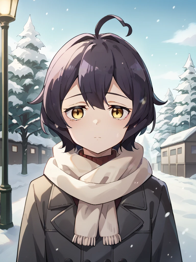 score_9, score_8_up, score_7_up, score_6_up, score_5_up, score_4_up, BREAK, source_cartoon, source_anime,
1girl, hiiragiutena standing outdoors in the snow during the winter,  dark purple hair, ahoge, short hair, yellow eyes,
winter clothes, white scarf, coat, expressionless, looking at viewer, outdoors, snow, snowing, solo, tree, winter   <lora:HiiragiUtenaXL:1>