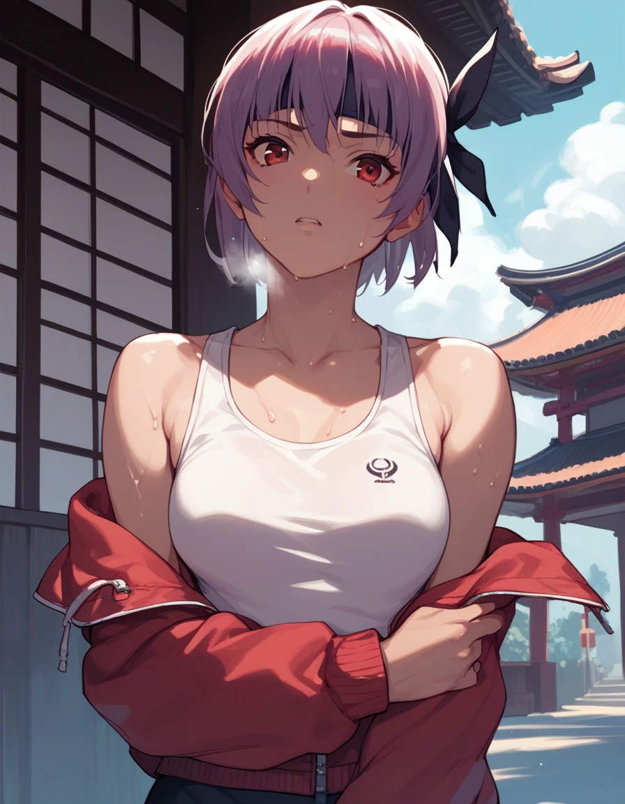 score_9, score_8_up, score_7_up, score_6_up, score_5_up, score_4_up, source_anime,
<lora:ayane-v2-ponyxl-000008:1>
ayane, headband,
streetwear, sweat, heavy breathing,
1girl, solo, kunai, east asian architecture