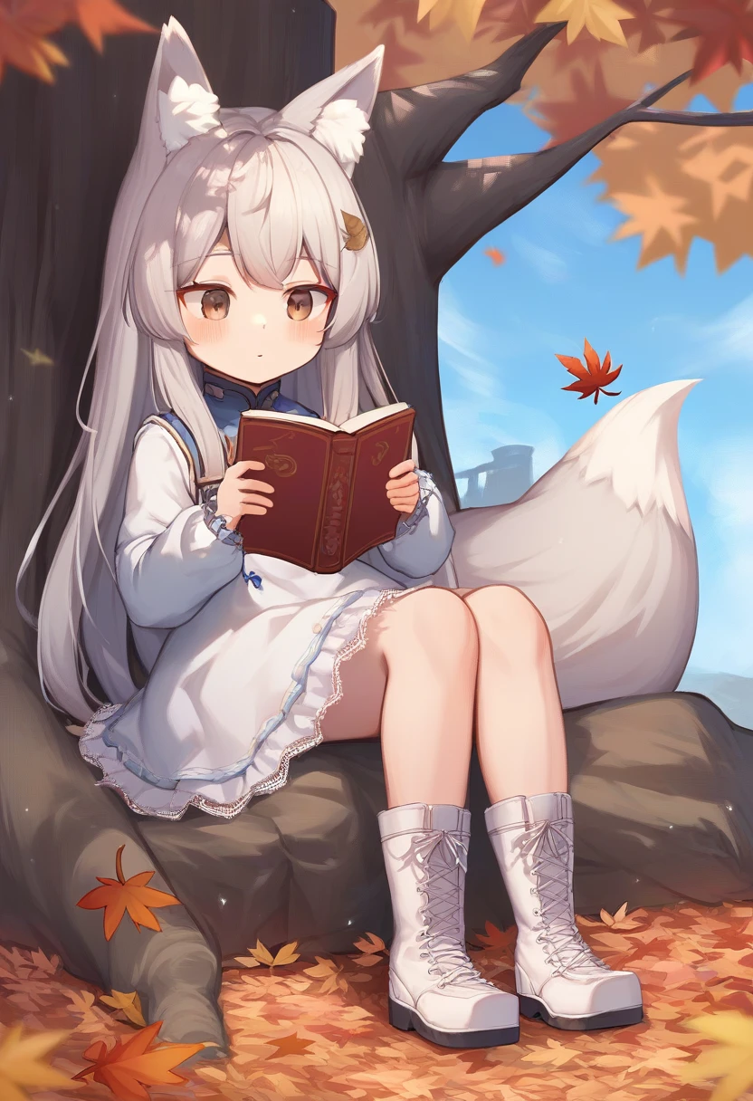 creator:jingai-modoki , score_9, score_8_up, score_7_up, rating_safe, source_anime,
1girl, solo, long hair, blush, bangs, long sleeves, dress, holding, animal ears, brown eyes, sitting, full body, grey hair, boots, outdoors, sky, day, white dress, tree, animal ear fluff, book, fox ears, leaf, white footwear, scenery, lace trim, cross-laced footwear, holding book, open book, lace-up boots, reading, autumn leaves, maple leaf, autumn