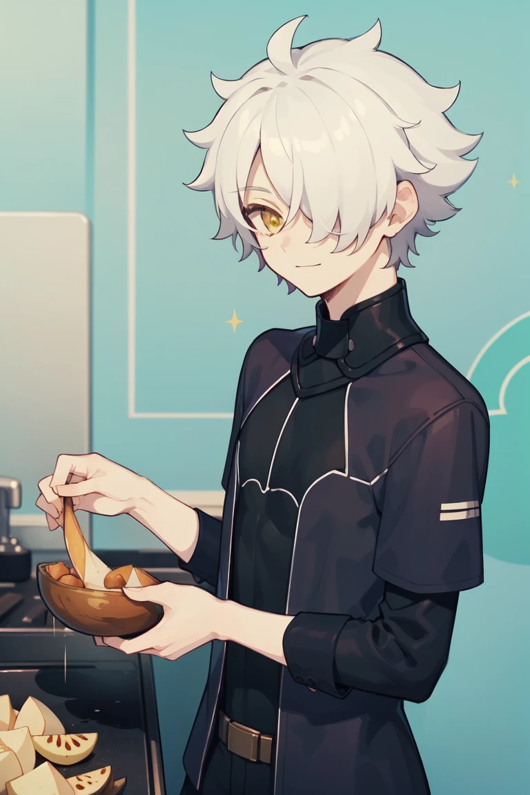 (masterpiece), (best quality), (highres), (ultra-detailed), (good anatomy), (male focus), (perfect color matches), (pastel colors), (cool tone), 1boy Galahad FGO, 1boy, white hair, short hair, hair over one eye, yellow eyes, smiling, peeling potatoes, clean sparkly kitchen, anime illustration, <lora:galahad:0.6>