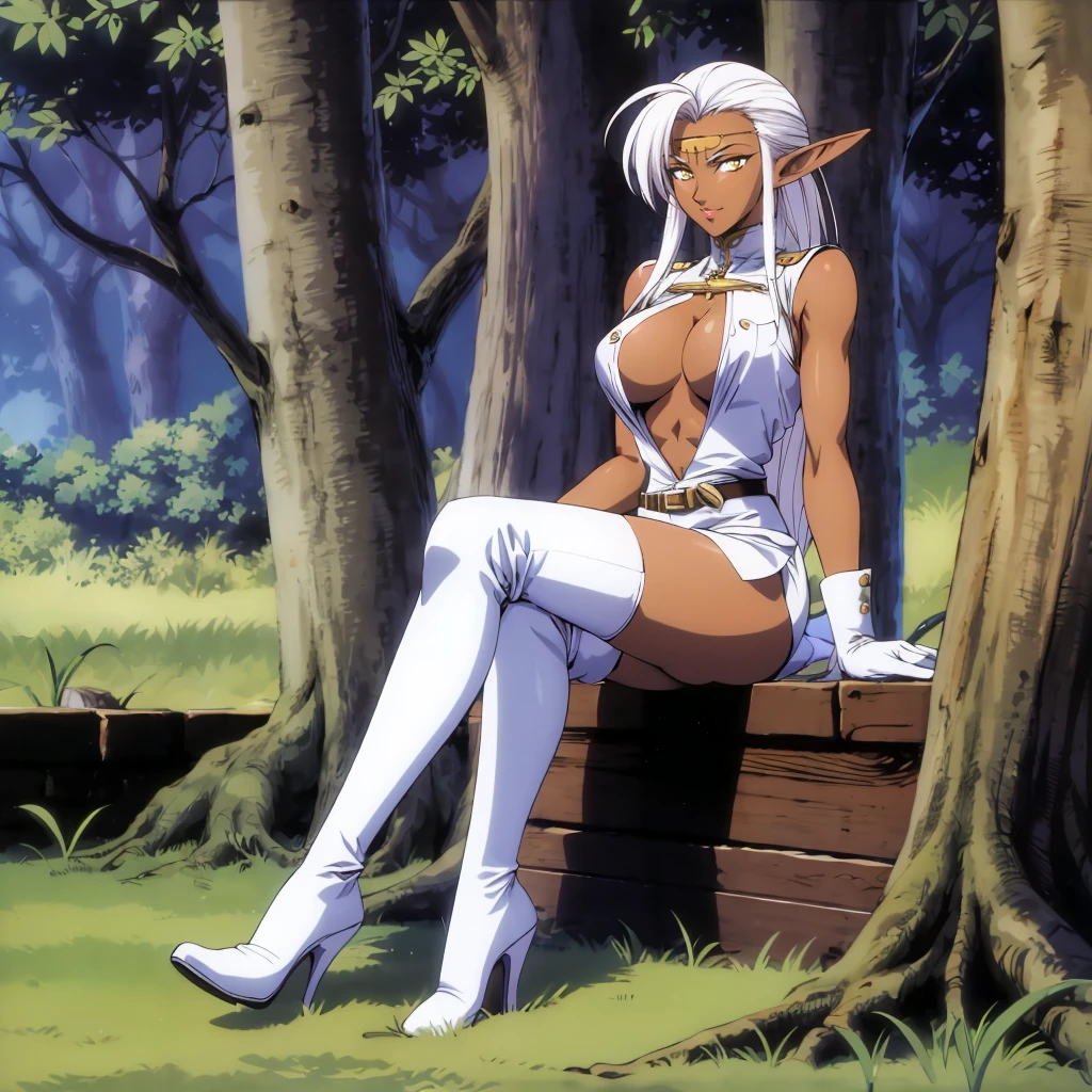 <lora:Pirotess003:0.7>,<lora:add_detail:0.5>,<lora:noline:0.3>,<lora:boldline:-0.3>,
Pirotess,1girl,elf,long hair,white hair,circlet,yellow eyes,dark skin,1990s (style),
cleavage,breasts,turtleneck,center opening,white dress,short dress,sleeveless,
belt,skirt,
white gloves,
zettai ryouiki,thigh boots,high heels,
nature,
full body,sitting,