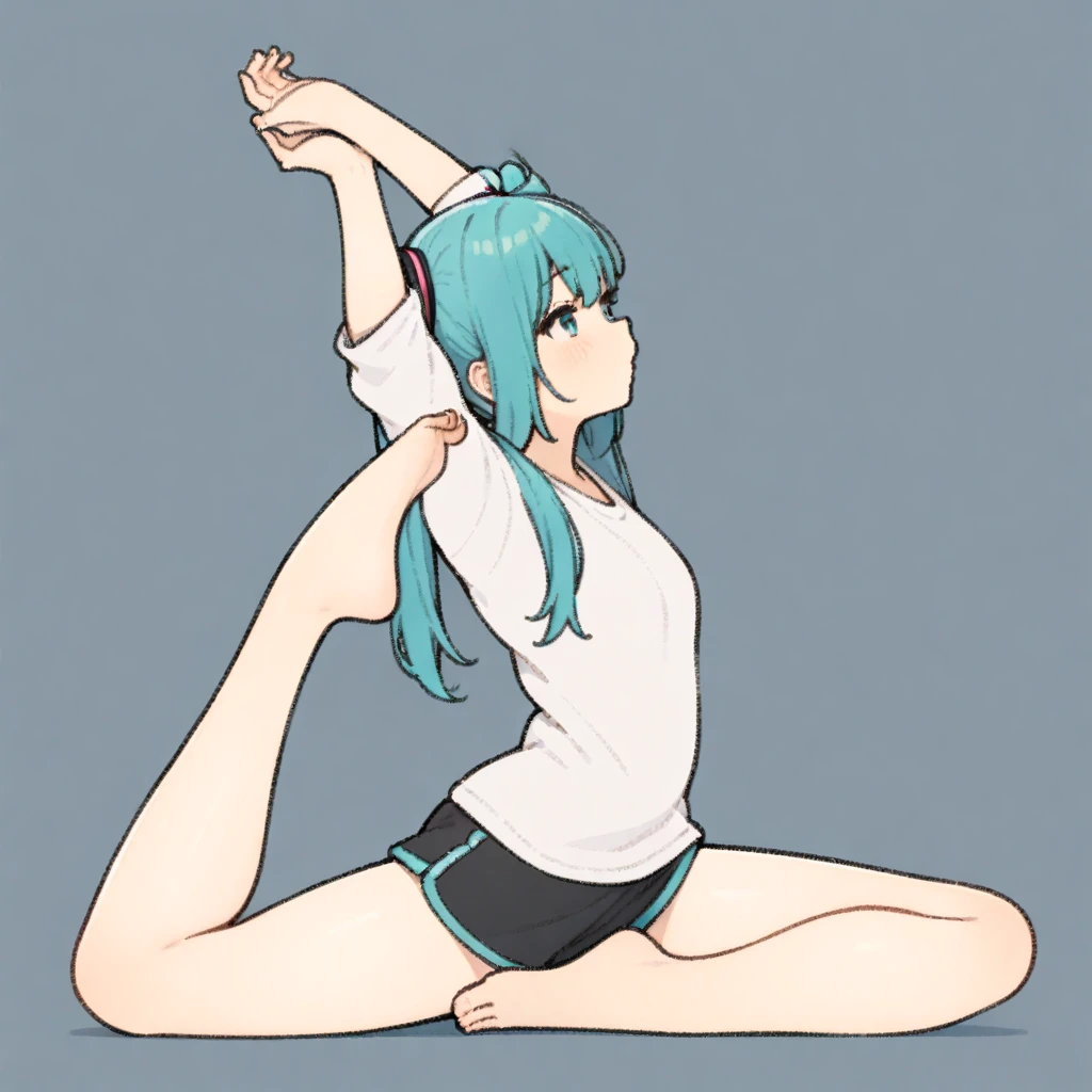 瑜伽pose Yoga pose Animagine XL V3.1