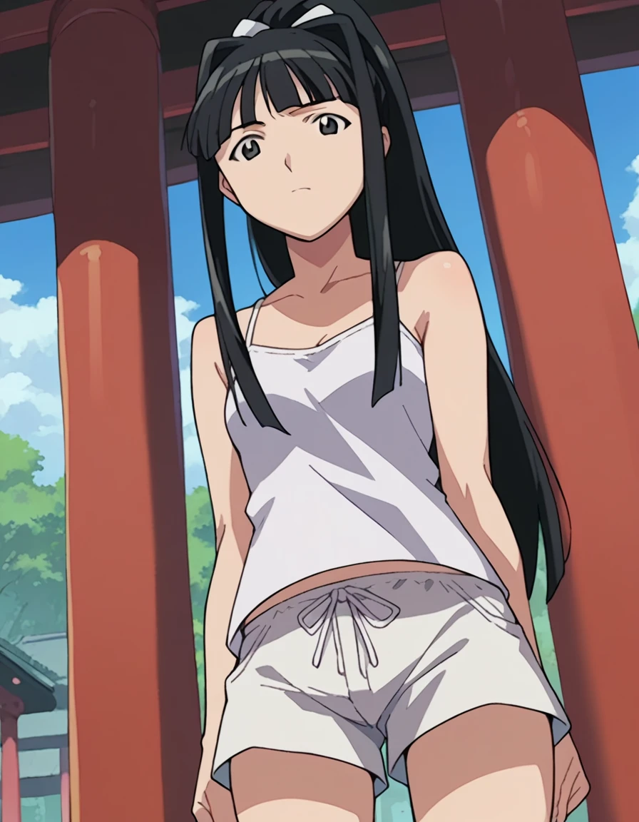 score_9, score_8_up, score_7_up, source_anime,
motokoaoyama, <lora:motoko-aoyama-ponyxl-lora-nochekaiser:1>,
motoko aoyama, long hair, black hair, black eyes, bangs,
ponytail, shorts, camisole, white shorts,
outdoors, shrine, 
looking at viewer, dutch angle, cowboy shot,
