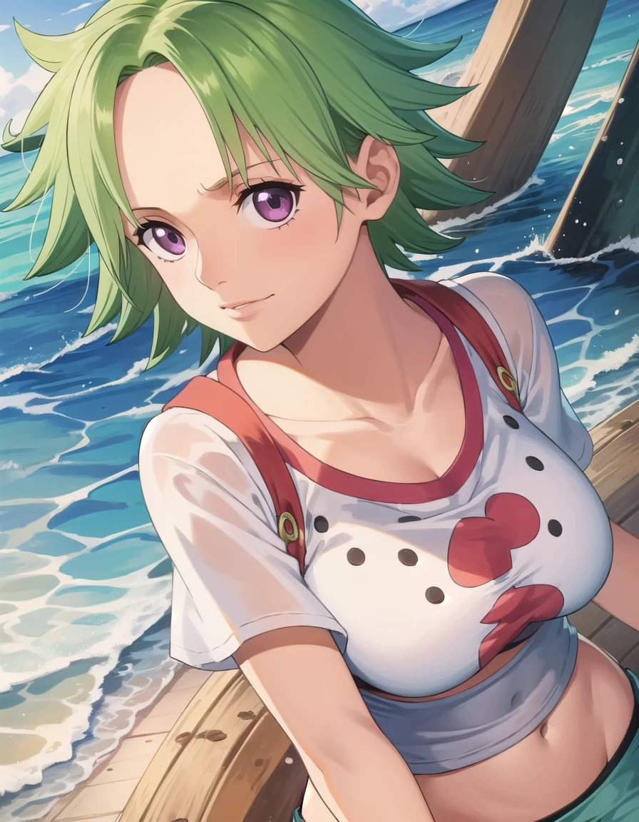onepiececamie, <lora:one piece camie-lora-nochekaiser:1>,
camie, short hair, green hair, monster girl, mermaid, (dark purple eyes:1.1), (parted bangs:1.5), (forehead:1.2), smile,
BREAK crop top, raglan sleeves, short sleeves, midriff, navel,
BREAK outdoors, ship, ocean, sea,
BREAK looking at viewer, (cowboy shot:1.5),
BREAK <lyco:GoodHands-beta2:1>, (masterpiece:1.2), best quality, high resolution, unity 8k wallpaper, (illustration:0.8), (beautiful detailed eyes:1.6), extremely detailed face, perfect lighting, extremely detailed CG, (perfect hands, perfect anatomy),