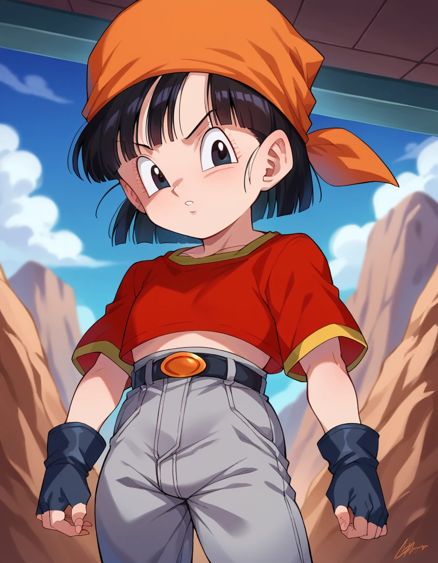 score_9, score_8_up, score_7_up, source_anime,
dragonballpan, <lora:dragonball-pan-ponyxl-lora-nochekaiser:1>,
pan gt, short hair, black hair, gloves, short sleeves, black gloves, belt, pants, fingerless gloves, black eyes, red shirt, black belt, bandana, orange bandana, female child, grey pants,
looking at viewer, dutch angle, cowboy shot,