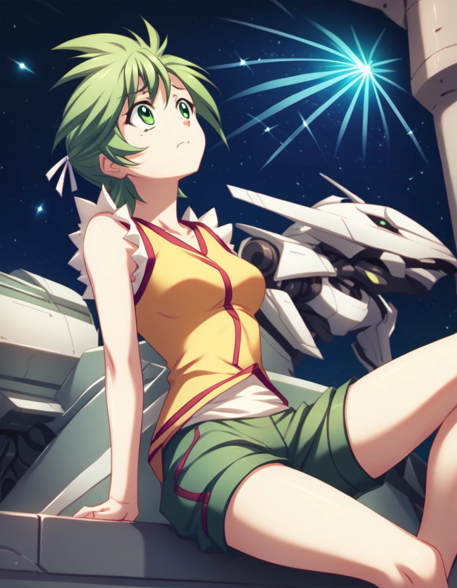 <lora:elnie-ponyxl-000022:1> elnie,
elniedef, sleeveless shirt, yellow shirt, shorts, green shorts,
1girl, solo, sitting, mecha, looking up, worried, night sky, meteor, score_9, score_8_up, score_7_up, score_6_up, score_5_up, score_4_up
