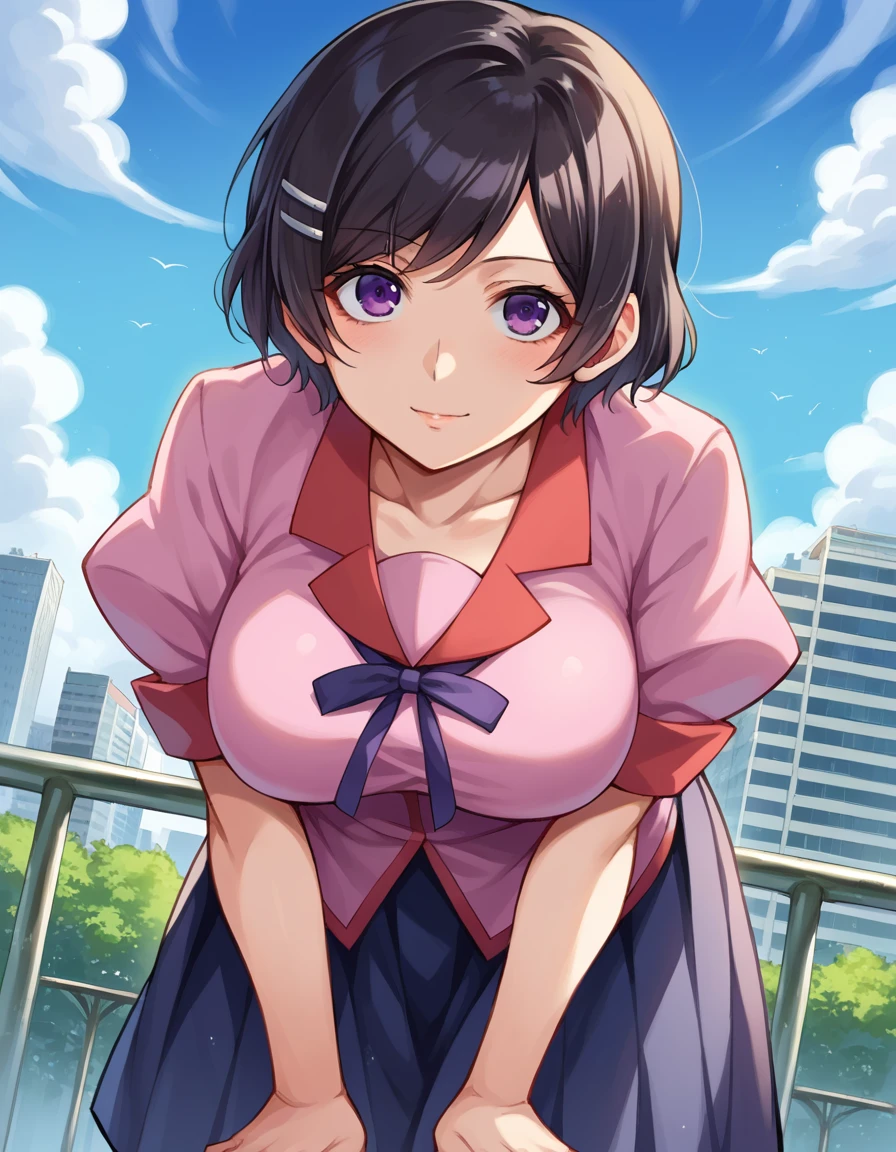 masterpiece, highest quality, Very detailed, figure,
hanekawa tsubasa, One girl,whole body, 
Iris, Twin Blade, Long Hair,
Brown footwear, Glasses, Hair Clip, naoetsu high , Pink Uniform, Purple Skirt,
Detailed Background, mksts style, Schoolyard, Grass, sunset,(large breast),(round breast),busty,full bust,sweat,(slender:1.4),(narrow_Waist:1.4),(thin_Waist:1.5),(Luxury Bra),Emphasize cleavage,(shirt lift),((toned stomach))
