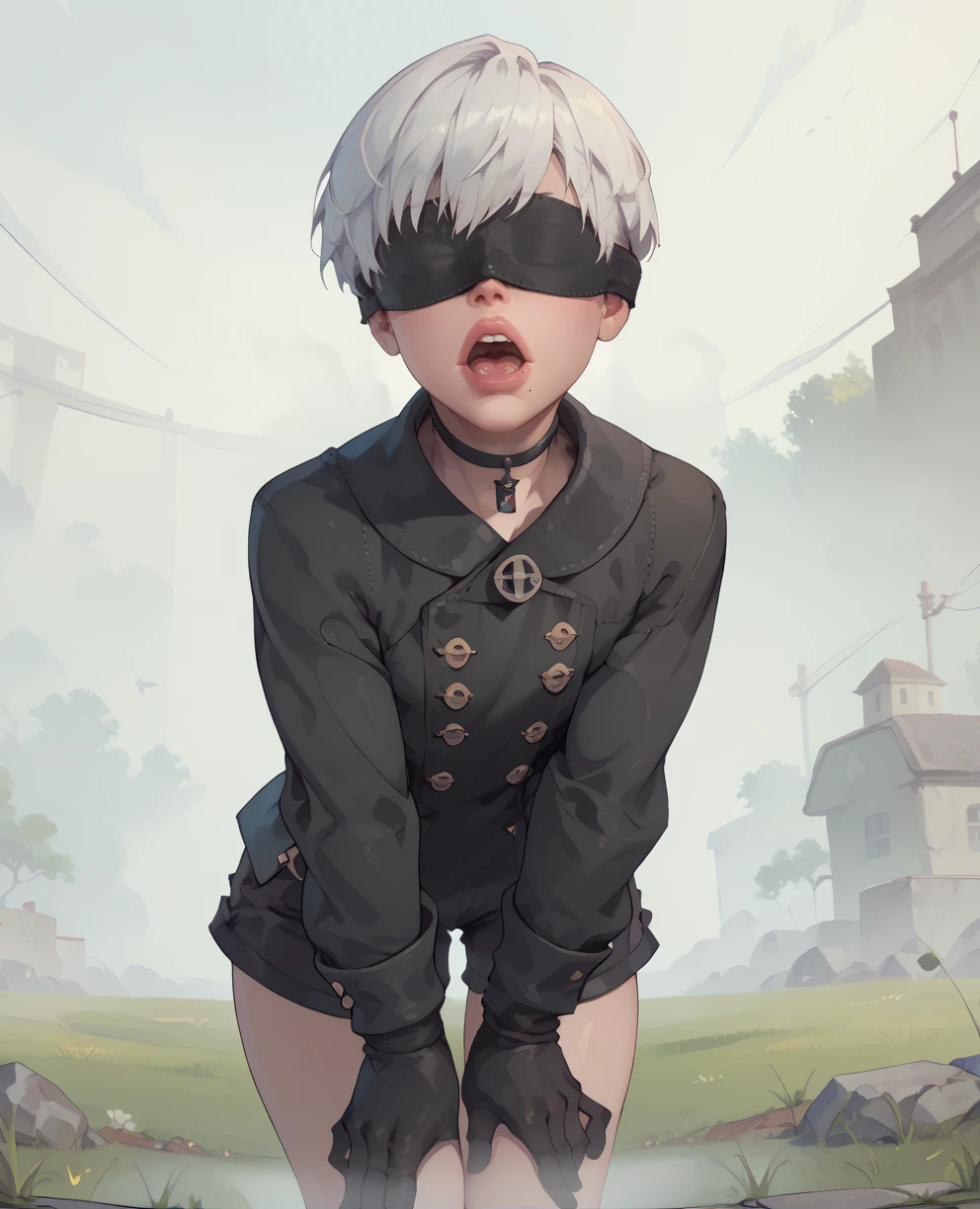 score_9,score_8_up,score_7_up,
yorhaxl,white hair,black blindfold,short hair,black choker,lips,mole under mouth,
standing,black gloves,black shorts,leaning forward,open mouth,
long sleeves,black jacket,buttons,
deserted school yard,fog,grass,
<lora:Yorha9s:0.8>,
