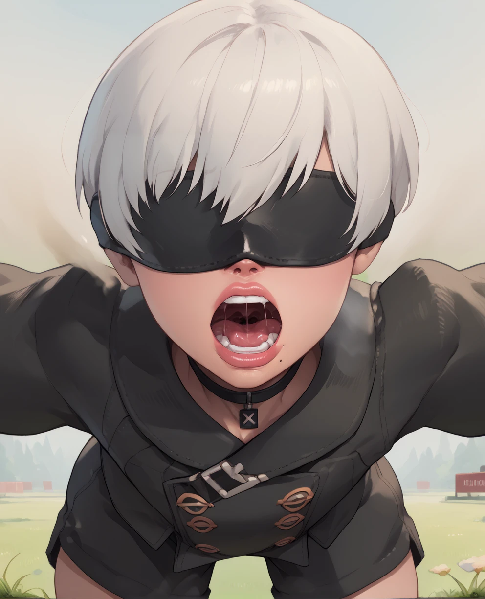 score_9,score_8_up,score_7_up,
yorhaxl,white hair,black blindfold,short hair,black choker,lips,mole under mouth,
standing,black gloves,black shorts,leaning forward,open mouth,
long sleeves,black jacket,buttons, close up, saliva, 
deserted school yard,fog,grass,
<lora:Yorha9s:0.8>,